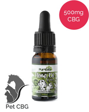 5% CBG oil for pets - PuriBio