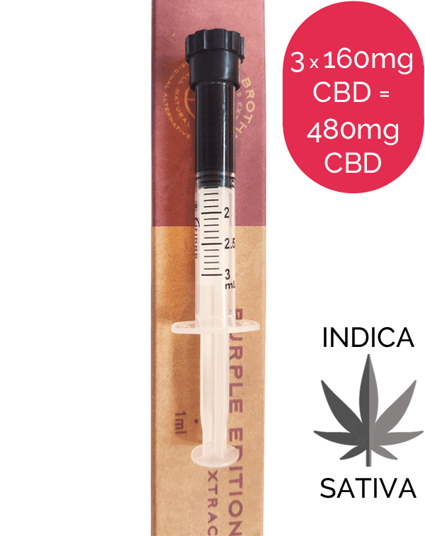 Purple Edition CBD Paste Indica Hybrid – CBD Brothers